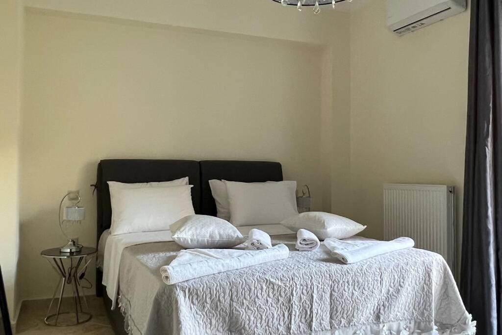 Anna Kavros Luxury Apartment 干尼亞 外观 照片