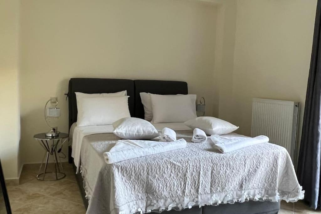 Anna Kavros Luxury Apartment 干尼亞 外观 照片